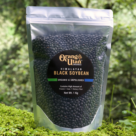 Himalayan Black Soybean